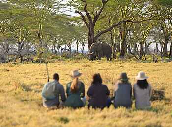 The Retreats at Namiri Plains Camp: Walking Safari The Retreats at Namiri Plains Camp: Walking Safari