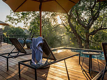 Thornybush Game Lodge: Liegen am Pool des Kamara House Thornybush Game Lodge: Liegen am Pool des Kamara House