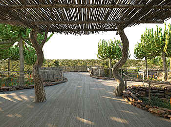 Mashatu Euphorbia Villas: Weg zum Aussichtspunkt