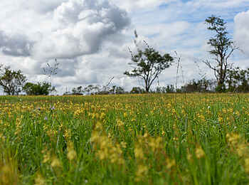 Sabi Sabi Selati Camp: Gelände Sabi Sabi Selati Camp: Gelände