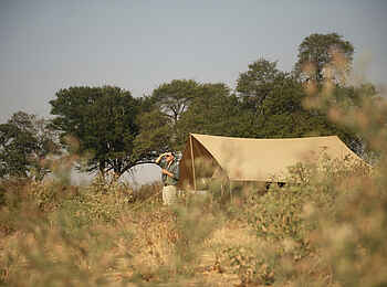 Charlie Ruaha Safari Camp: Gästezelt