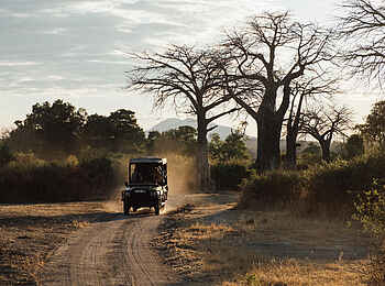 Jabali Ridge Camp: Game Drive