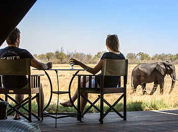 Little Machaba Camp: Ein Elefant schreitet an einem Gästezelt vorbei