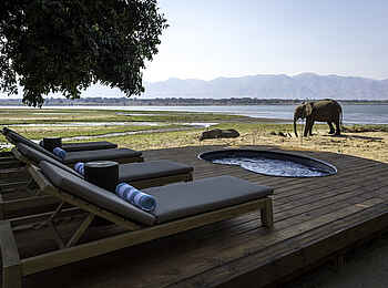 Little Ruckomechi Camp: Elefanten vor dem Plunge Pool