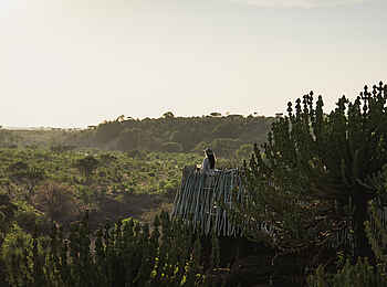 Mashatu Euphorbia Villas: Sonnenuntergang