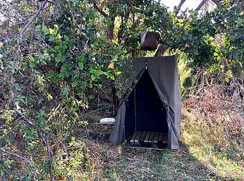 Mopriri Camp: Bad im Fly Camp Mopriri Camp: Bad im Fly Camp