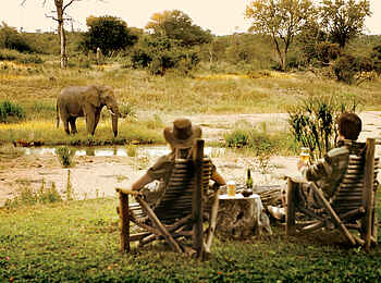 Motswari Game Lodge: Tierbeobachtung