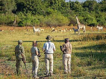 Nkwali Camp: Walking Safari