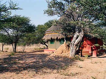 Okonjima Bush Camp: Chalet