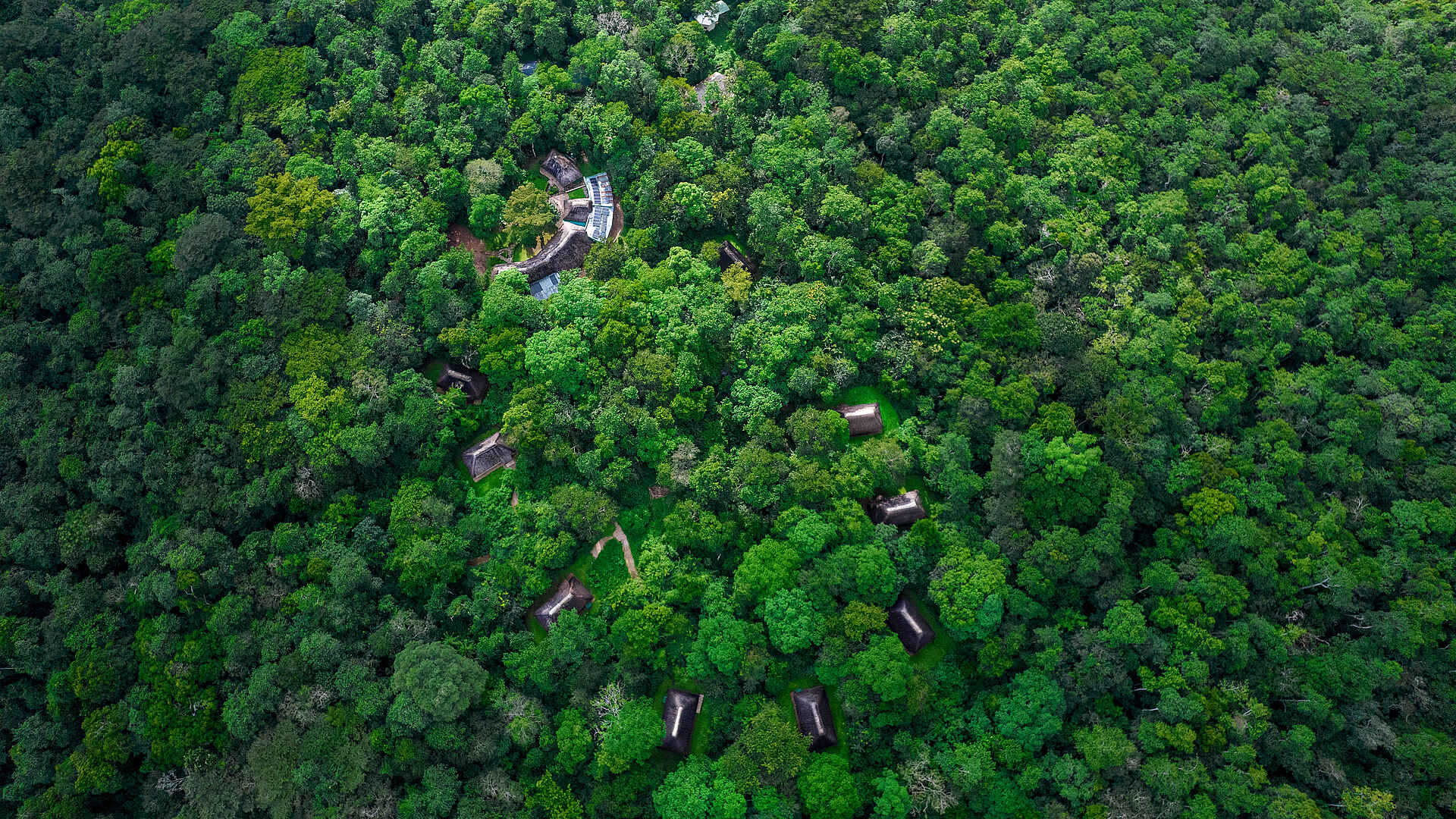 Primate Lodge Kibale: Die Lodge aus der Vogelperspektive