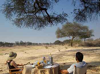 Ruaha River Lodge: Bush Breakfast Ruaha River Lodge: Bush Breakfast