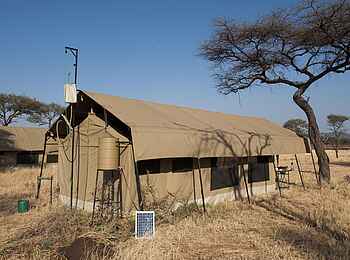Serengeti Kati Kati Tented Camp: Gästezelt von hinten Serengeti Kati Kati Tented Camp: Gästezelt von hinten