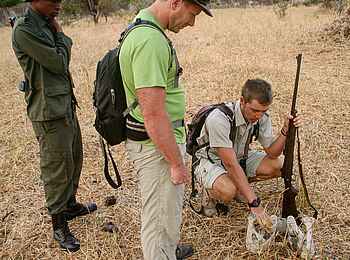 Tarangire Safari Lodge: Knochenfund Tarangire Safari Lodge: Knochenfund