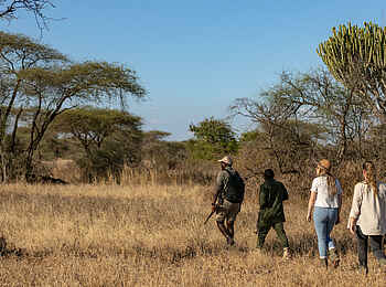Usangu Expedition Camp: Walking Safari Usangu Expedition Camp: Walking Safari