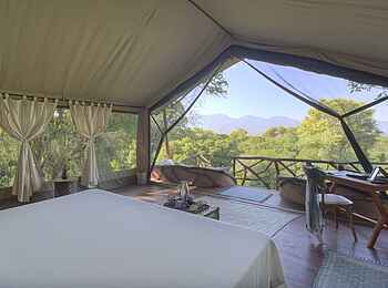 Sarara Tree: Blick aus einem Gästezelt Sarara Tree: Blick aus einem Gästezelt