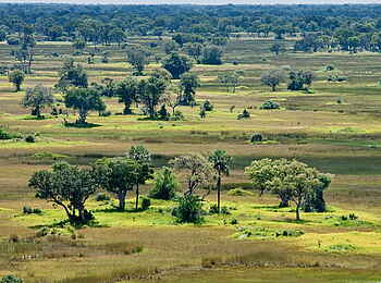 Delta Camp: Landschaft im Delta Delta Camp: Landschaft im Delta