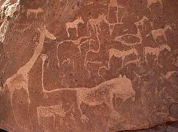 Doro Nawas: Versteinertes Wild