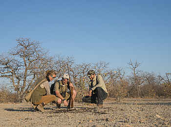 Encounter by Ongava: Entdeckungen auf Wandersafari
