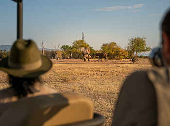 Fothergill Island Luxury Camp: Game Drive