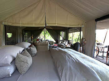 Machaba Camp: Luxury Family Tent Bett