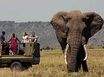 Ngare Serian Camp: Elefantenbulle