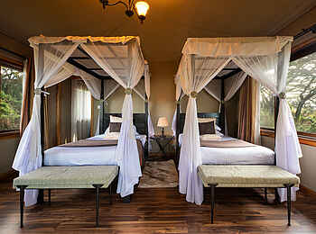 Ngorongoro Lions Paw Camp: Executive Twin Room Betten