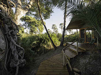 Pelo Camp: Zugang zu einem Gästezelt Pelo Camp: Zugang zu einem Gästezelt