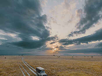Porini Amboseli Camp: Unterwegs Porini Amboseli Camp: Unterwegs