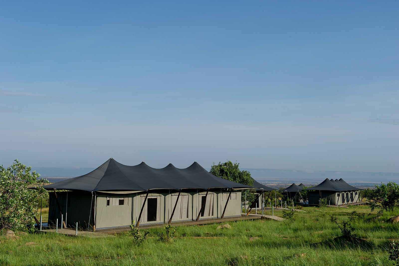 Mara Mara Tented Lodge: Gästezelt mit doppeltem Dach Mara Mara Tented Lodge: Gästezelt mit doppeltem Dach