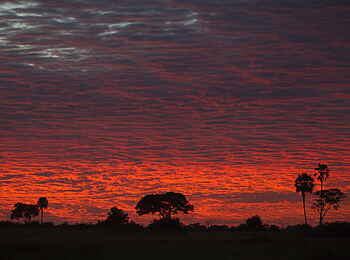 Selinda Camp: Sonnenuntergang