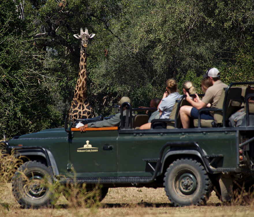 Time + Tide Luwi: Auf Pirschfahrt Time + Tide Luwi: Auf Pirschfahrt