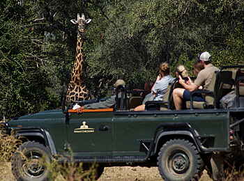 Time + Tide Luwi: Auf Pirschfahrt