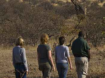 Tuli Safari Lodge Mashatu: Mit dem Guide im Busch