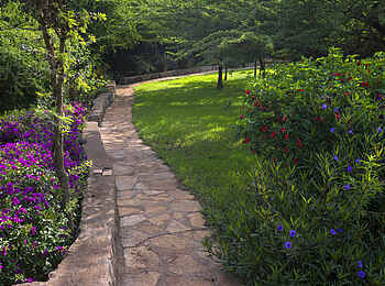 Bashay Rift Lodge: Blumen und Zuweg Bashay Rift Lodge: Blumen und Zuweg