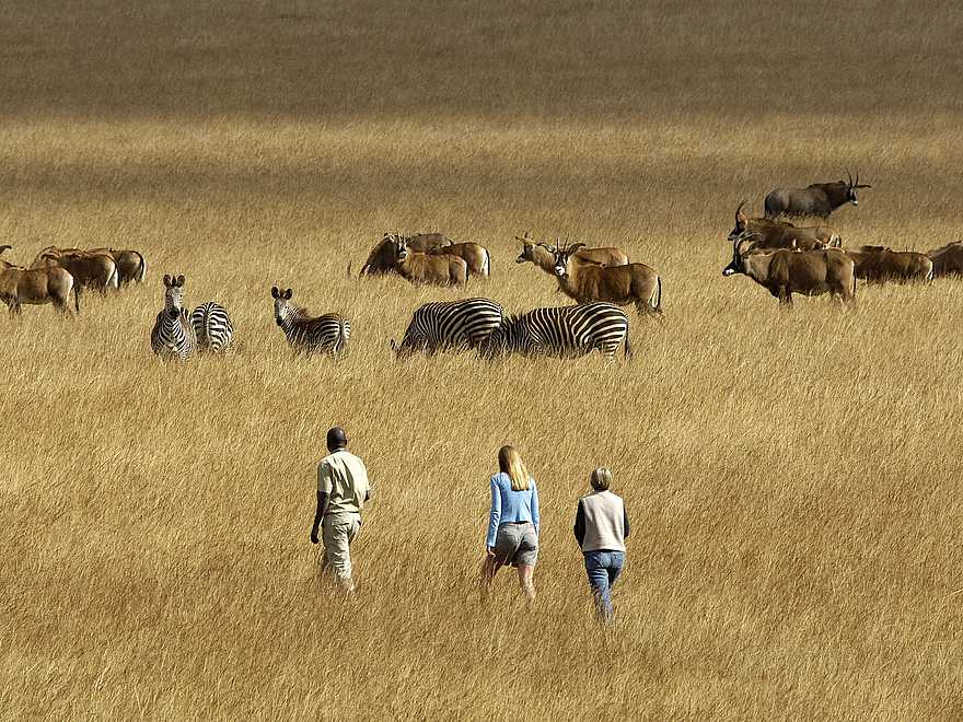 Chelinda Lodge: Erkundung zu Fuß Chelinda Lodge: Erkundung zu Fuß