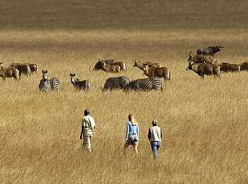 Chelinda Lodge: Erkundung zu Fuß