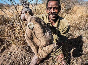 Great Tsau Hill Camp: San Great Tsau Hill Camp: San