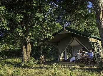 John's Camp: Gästezelt unter Mahagonibäumen
