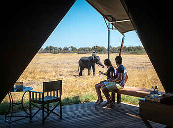 Little Machaba Camp: Tiersichtung vom Gästezelt aus während der Mittagspause