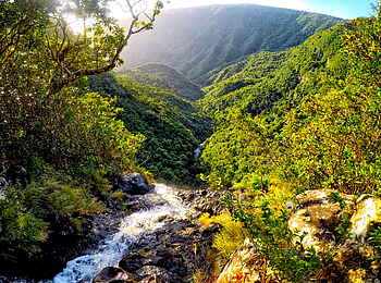 LUX Grand Baie: Die Landschaft auf Mauritius LUX Grand Baie: Die Landschaft auf Mauritius