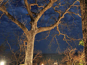 Muchenje Safari Lodge: Abend auf dem Deck