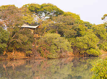 Mukambi Fig Tree Bush Camp: Der Blick von der Lagune auf eines der Gästezelte