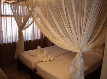 Okaukuejo: Doppelbett mit Moskitonetz