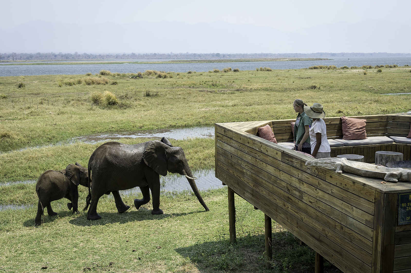 Ruckomechi Camp: Aussicht von der Boma Ruckomechi Camp: Aussicht von der Boma