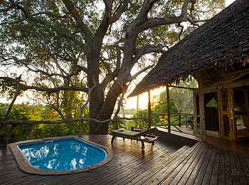 Rufiji River Camp: Plunge Pool Familienzelt Rufiji River Camp: Plunge Pool Familienzelt