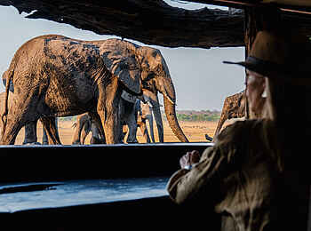 Sable Valley Lodge: Ausblick Sable Valley Lodge: Ausblick