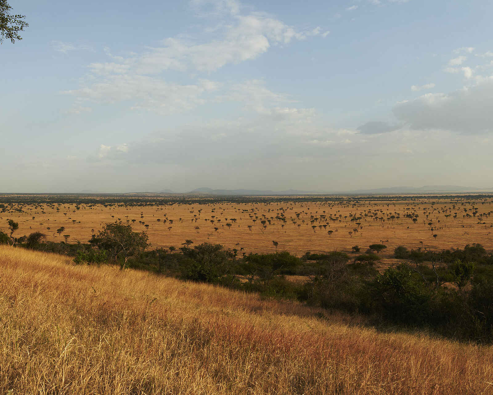 Singita Explore Mobile Tented Camp: Singita Grumeti Singita Explore Mobile Tented Camp: Singita Grumeti