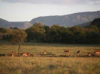 Sleeping Warrior Lodge: Kenias Savanne Sleeping Warrior Lodge: Kenias Savanne
