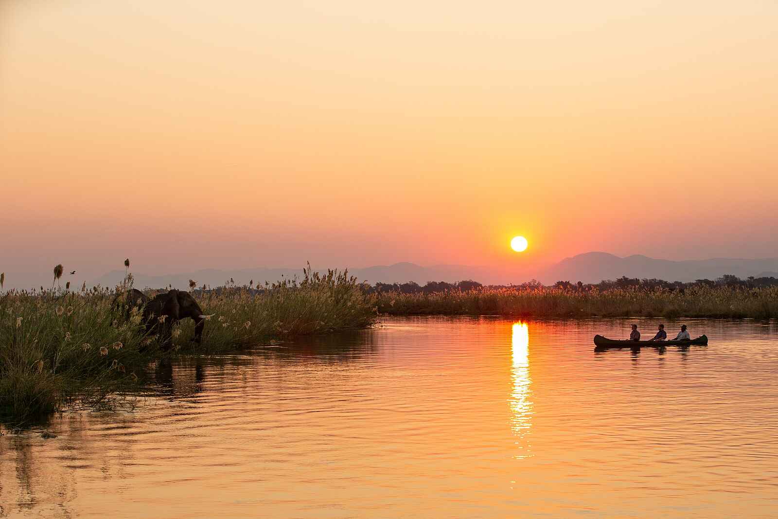 Tembo Plains Camp: Begegnung am Abend Tembo Plains Camp: Begegnung am Abend