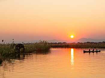 Tembo Plains Camp: Begegnung am Abend